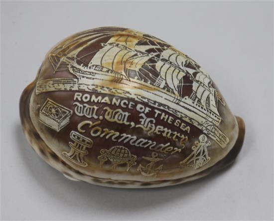 American Interest - a 19th century carved cowrie shell,
